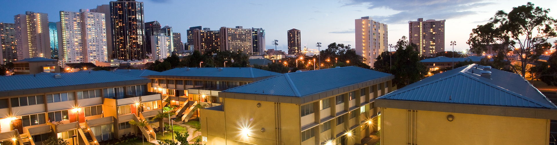 Waena view of Honolulu in back