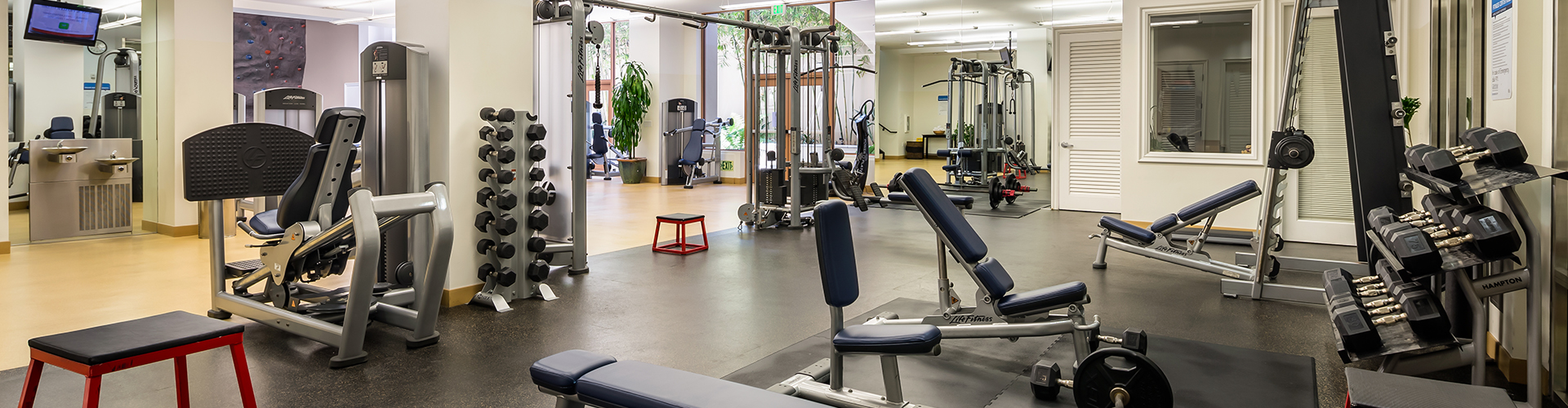 The Glendon Gym header