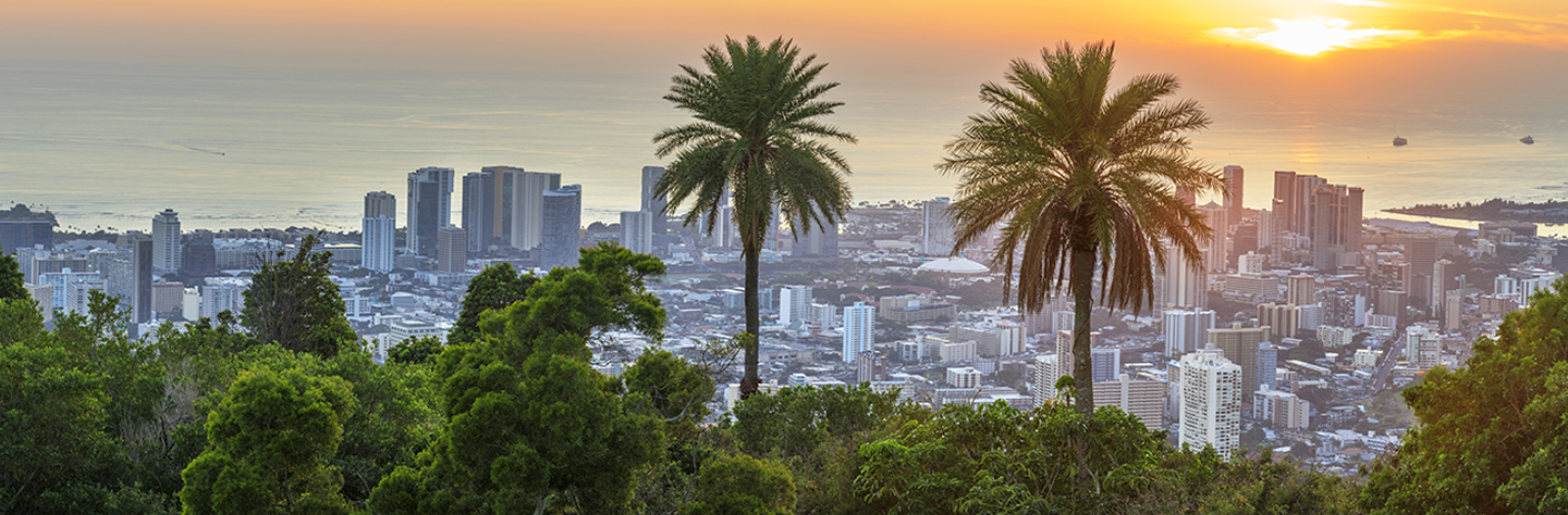 Honolulu Skyline