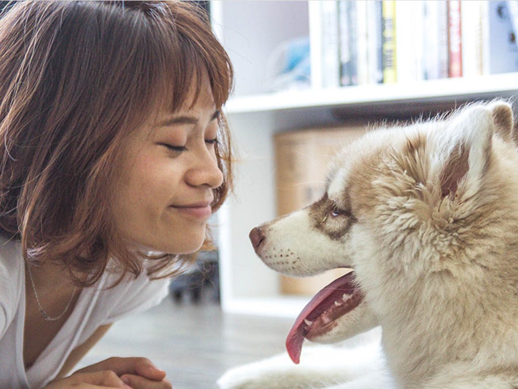 woman with dog woman with dog