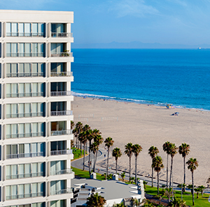 The Shores image with beach in the background